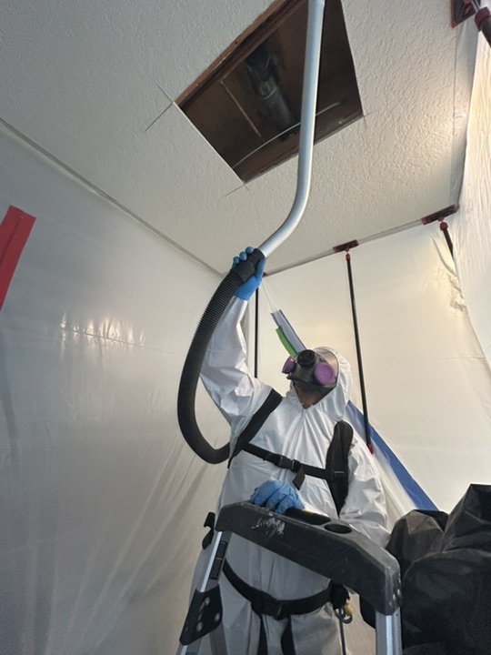 Mold remediation