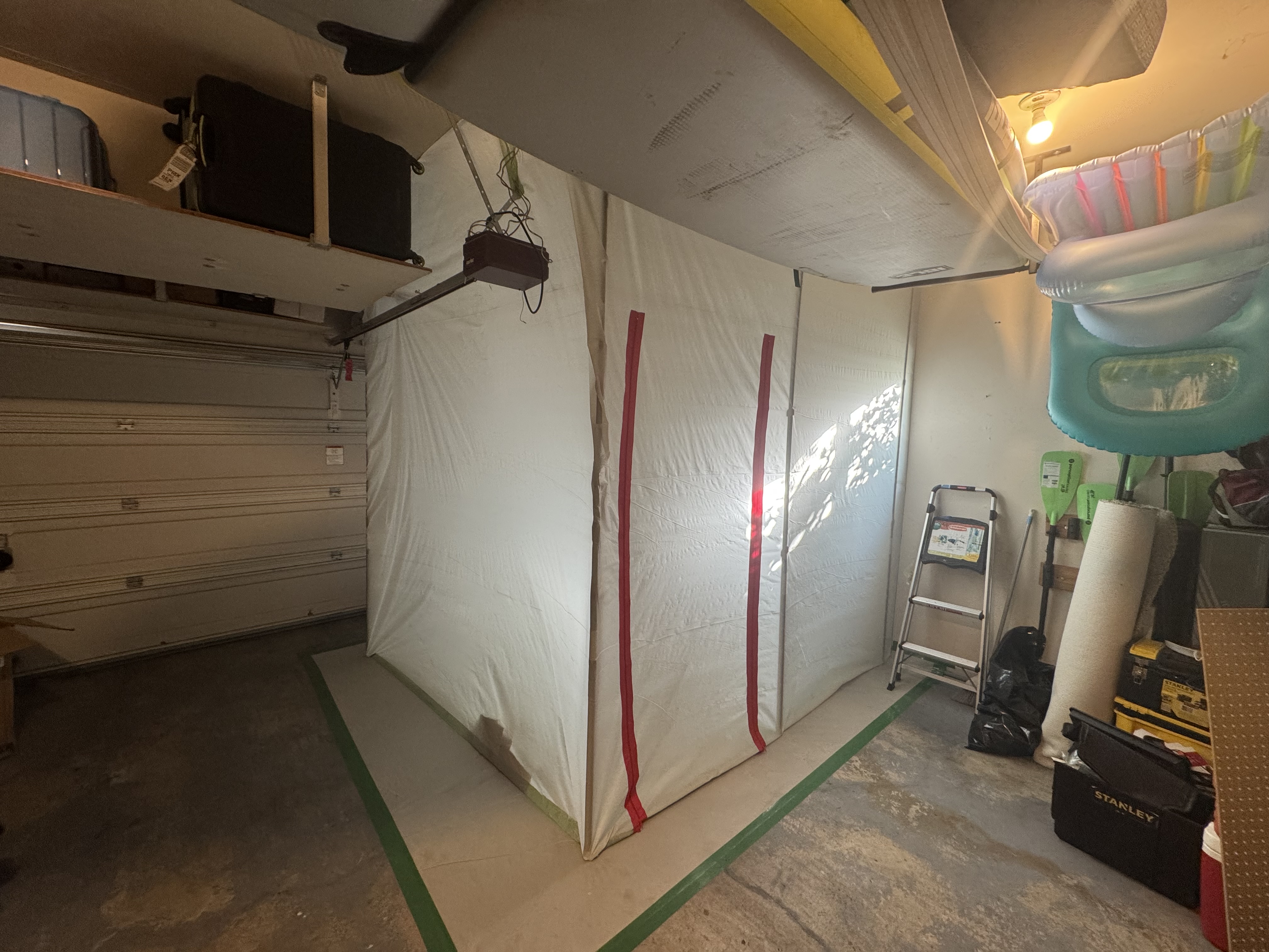 Mold remediation professional in protective gear