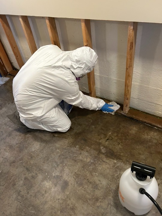 Fire damage restoration professional